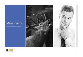 Impulsvortrag Mens Health